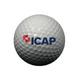 ICAP-Titleist-NXT-Golf-Balls