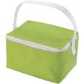 Cooler Bag