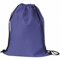 Enviro Sports Bag