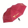 Automatic Telescopic Umbrella