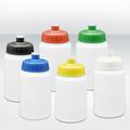 Recycled Water Bottle 300ml