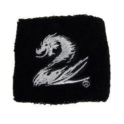 GW2 Sweatbands