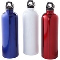 25oz Stainless Steel Bike Bottle