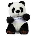 Panda Bear Teddy